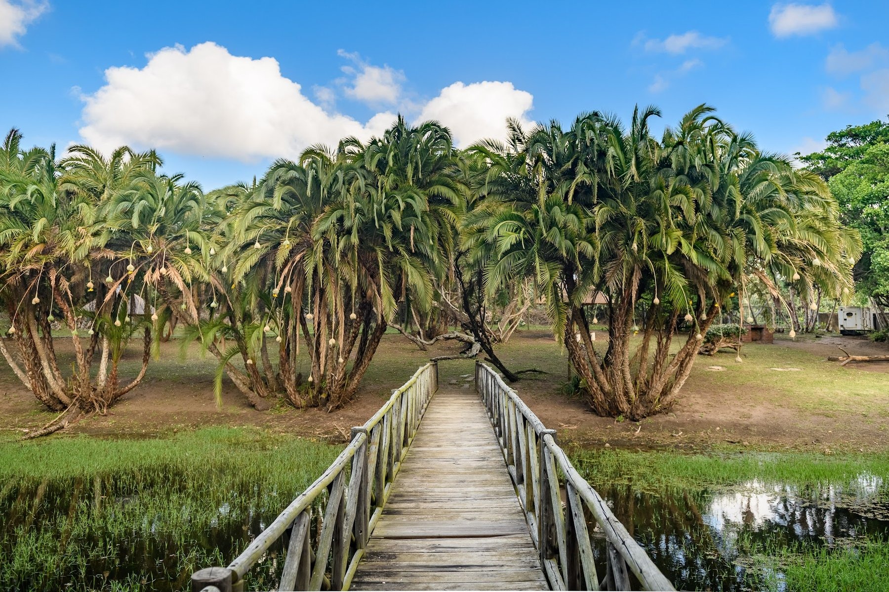 Sugar Beach Resort — photo 2