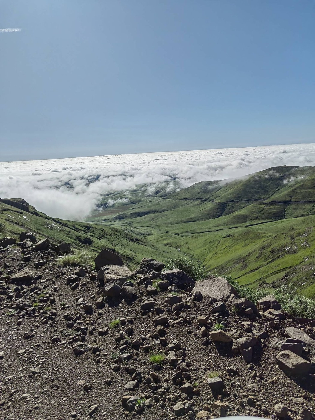 Tenahead Mountain Lodge — photo 4