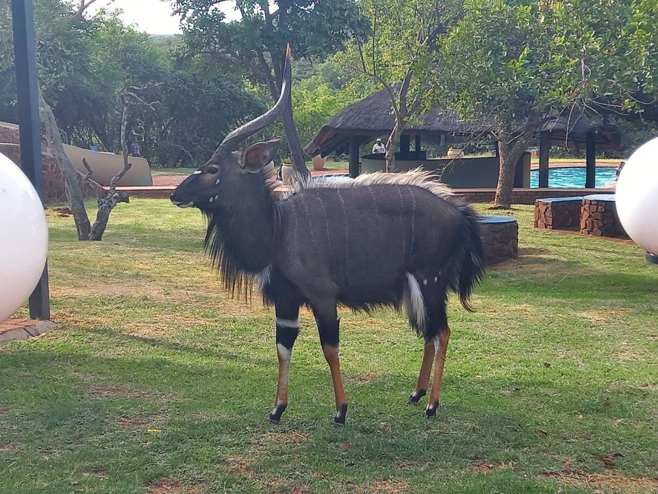 Thaba Monate Conference Resort — photo 3