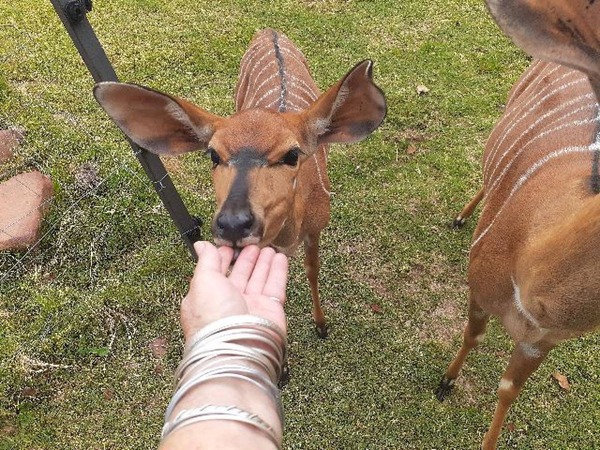 Thaba Monate Conference Resort