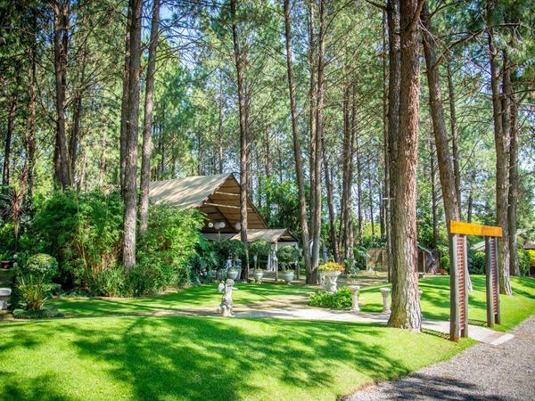 The Forest Walk Venue