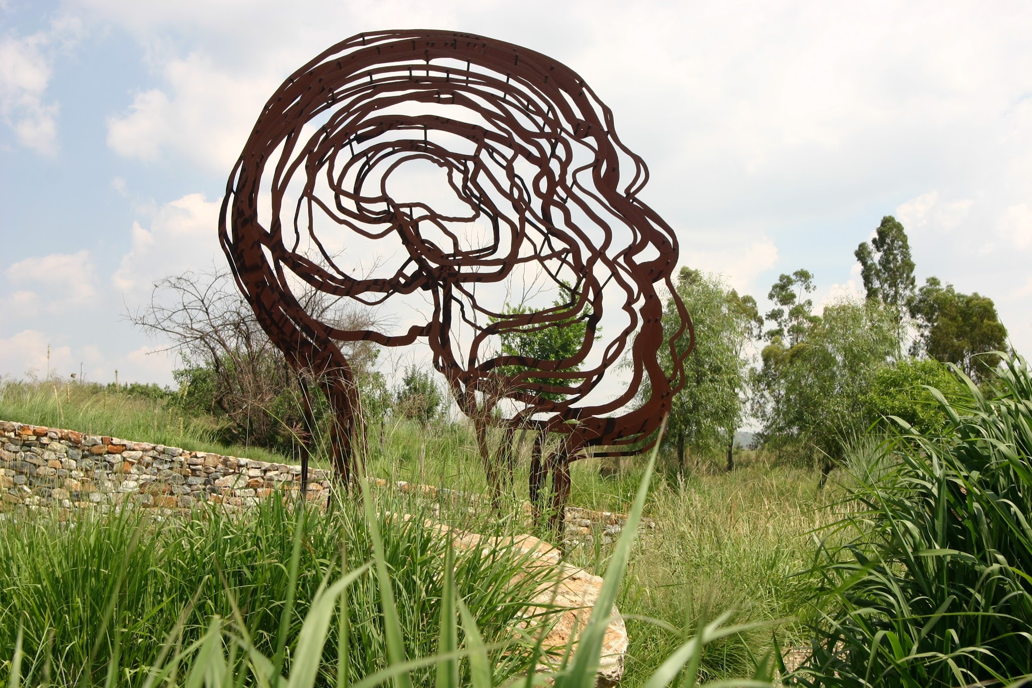 The Forum Homini — photo 2