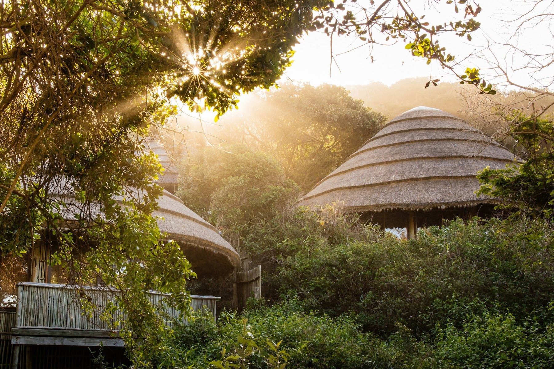 Thonga Beach Lodge — photo 3