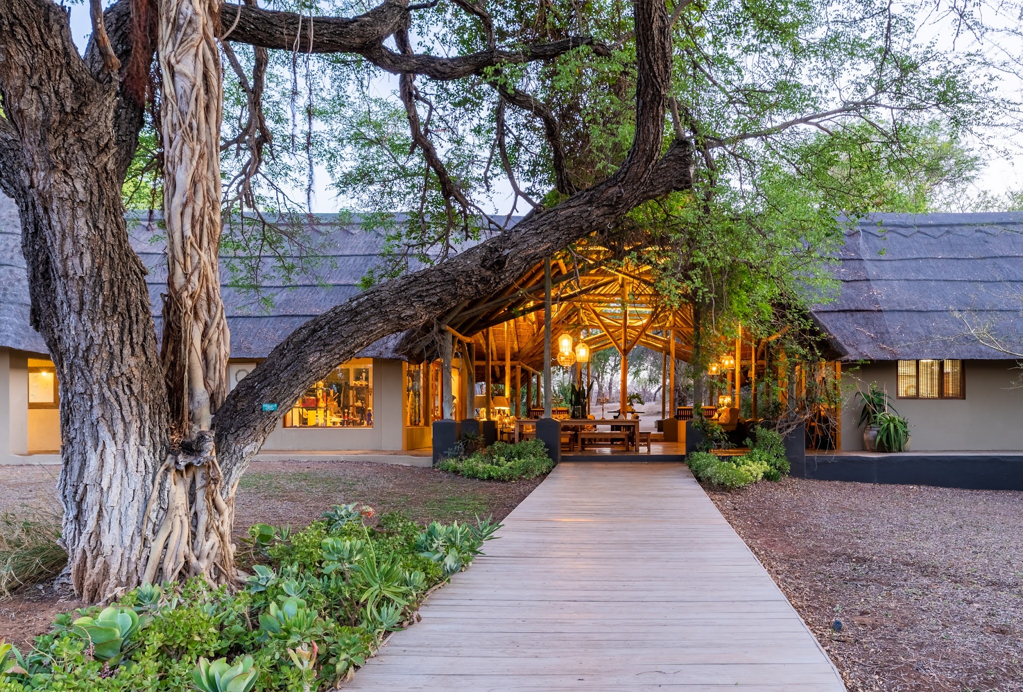 Thornybush Game Lodge