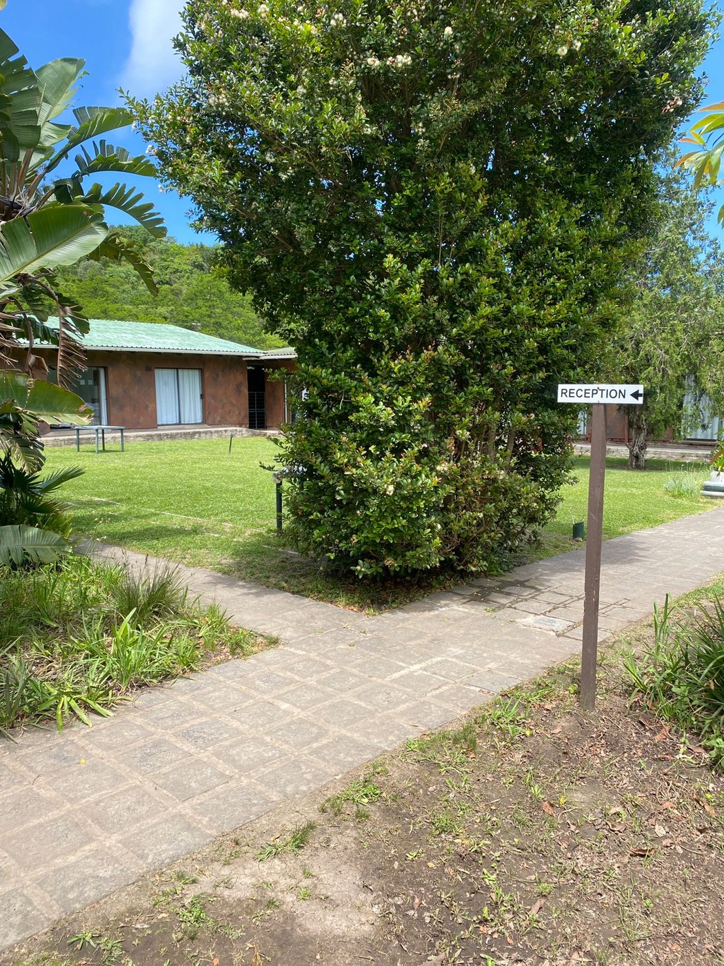 Thornycroft Lodge and Spa — photo 3