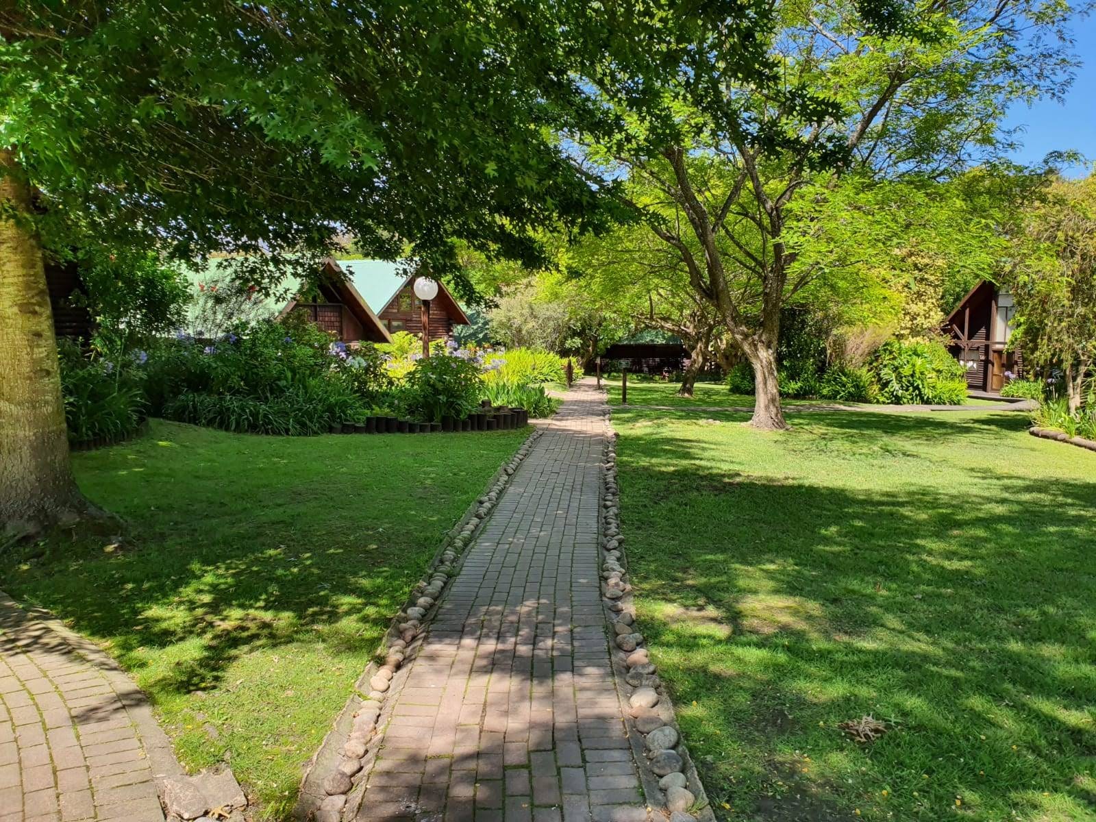 Tsitsikamma Lodge & Spa — photo 3