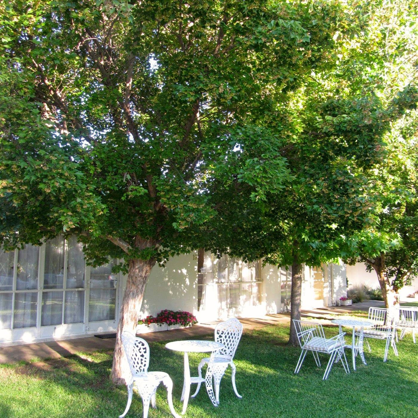 Umtali Country Inn — photo 5