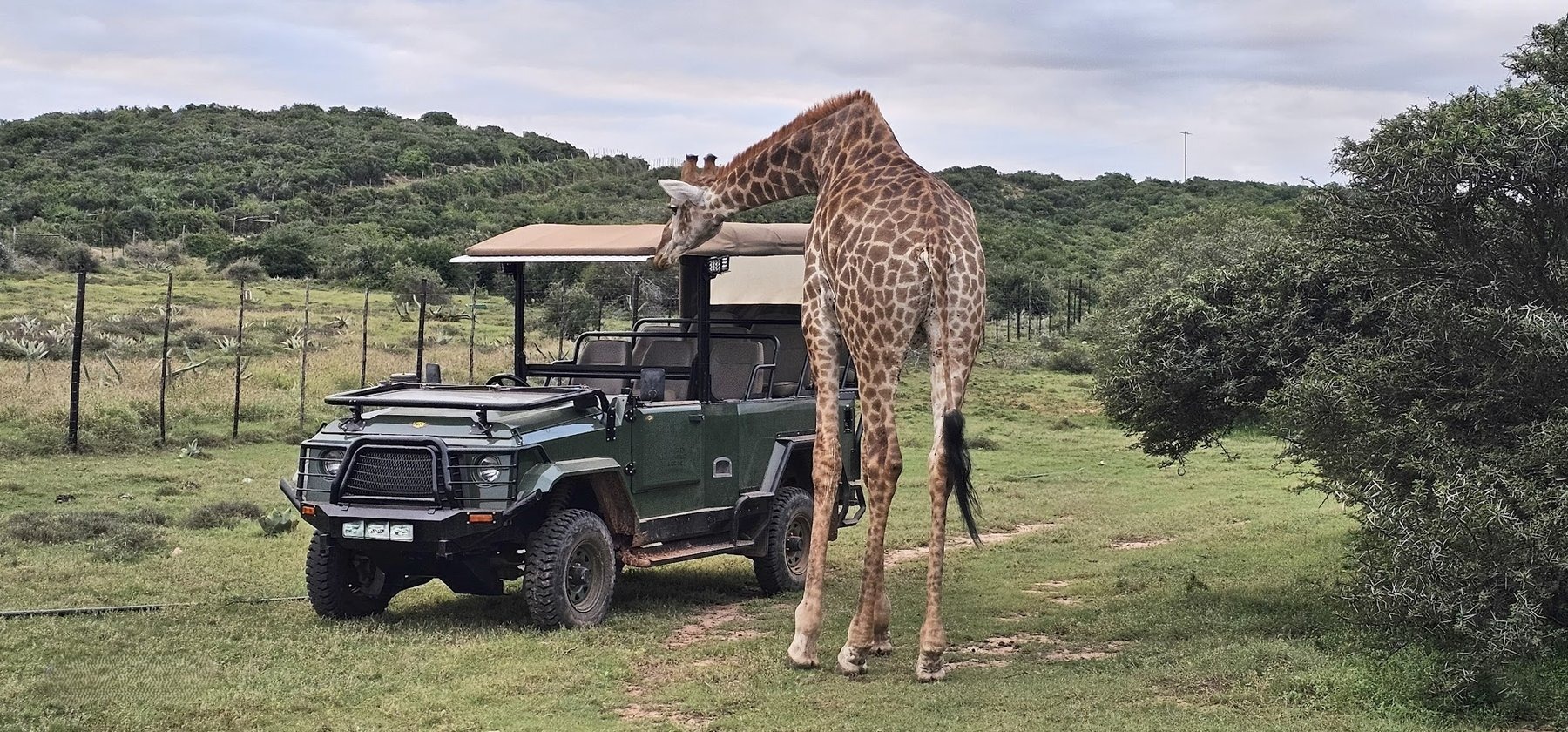 Valley Bushveld Country Lodge — photo 5