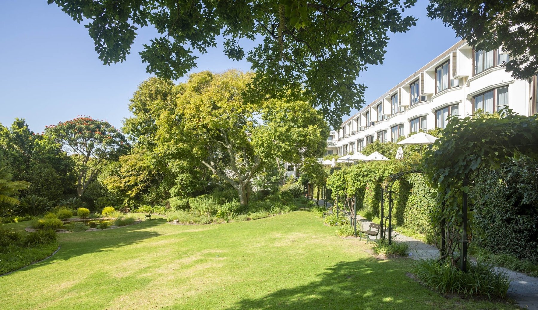 Vineyard Hotel Conference — photo 3