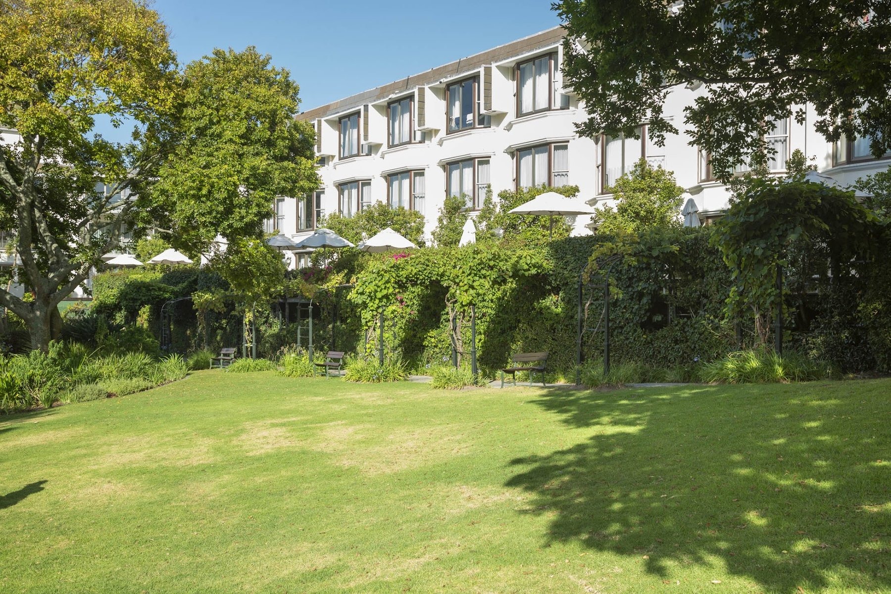 Vineyard Hotel Conference — photo 4