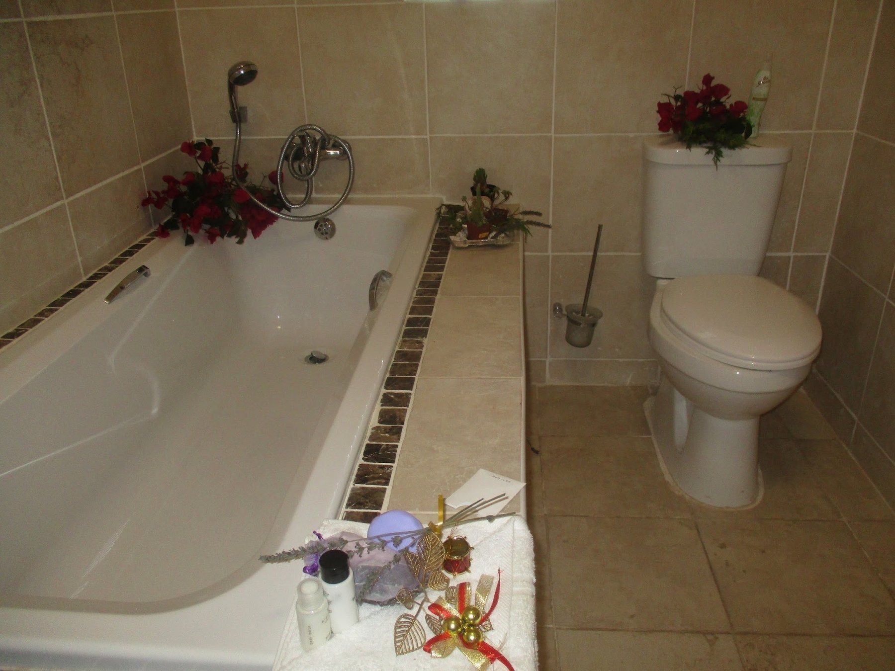 Vintour Guest House — photo 3