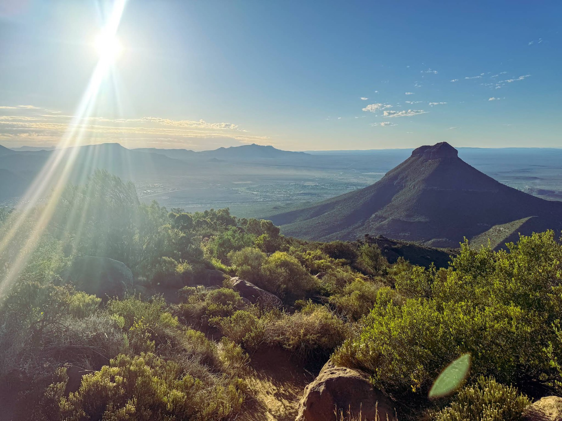 Wild Olive Guest Farm & Conference — photo 3