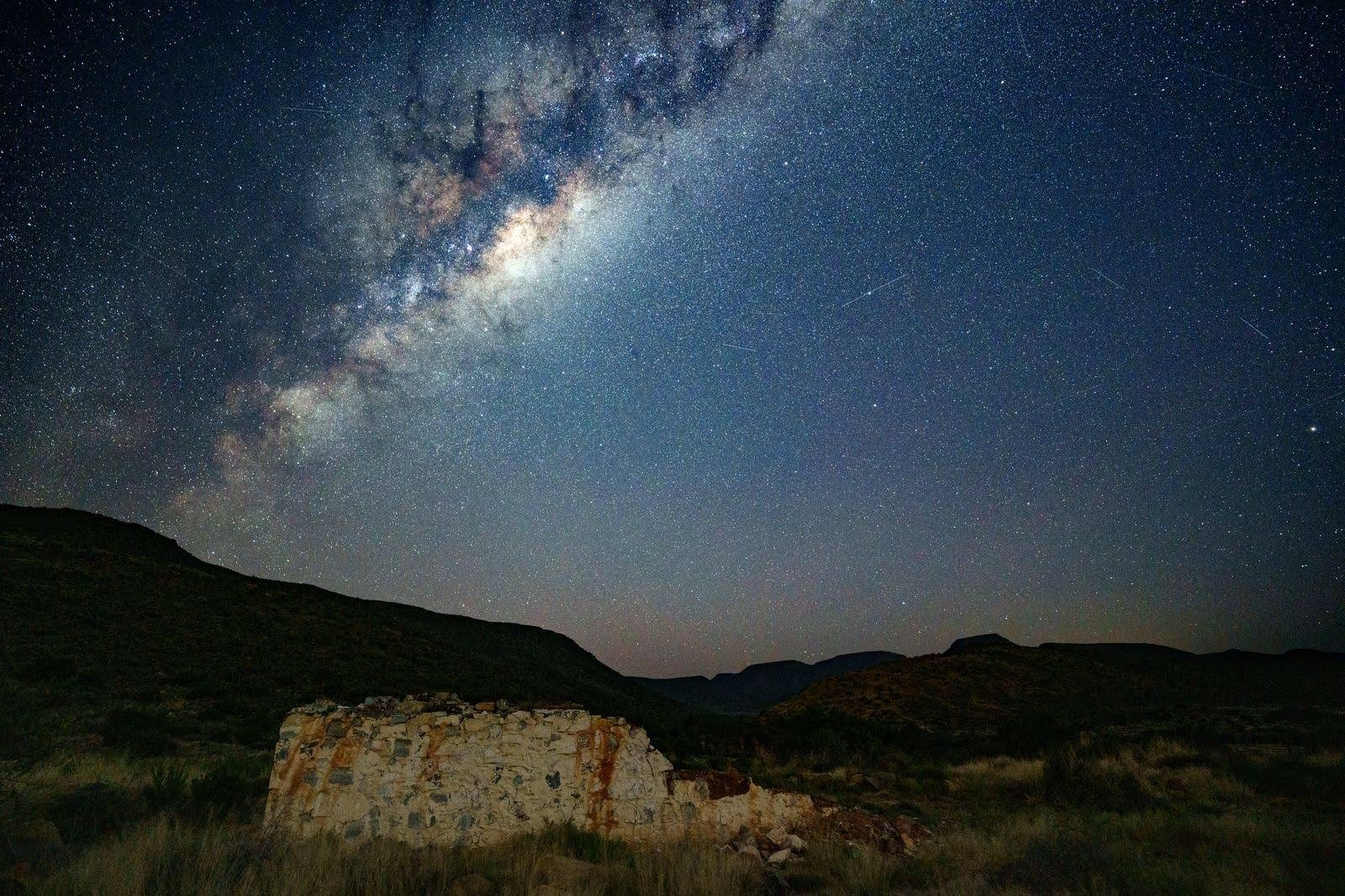 Wild Olive Guest Farm & Conference — photo 4