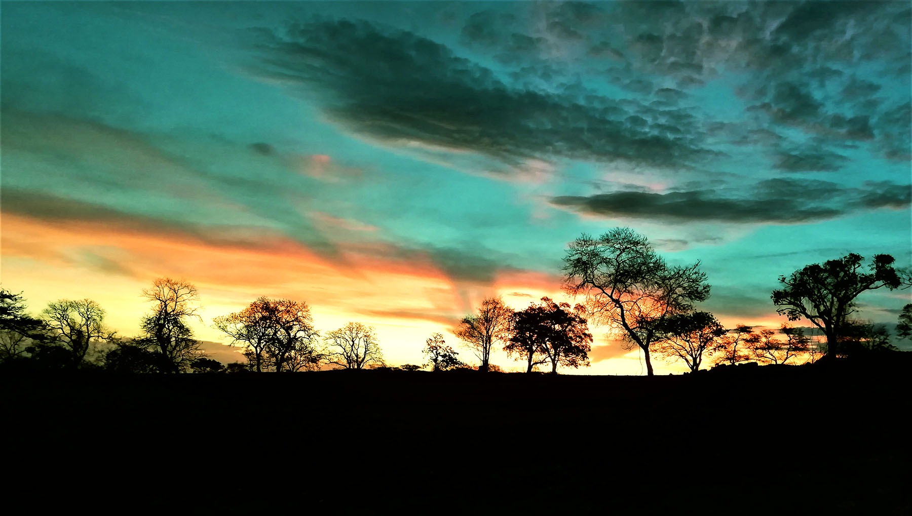 Wildnut Lodge and Game Farm — photo 2